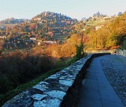 Dal Monastero di Astino a San Vigilio-CittA' Alta ad anello-28nov25-FOTOGALLERY